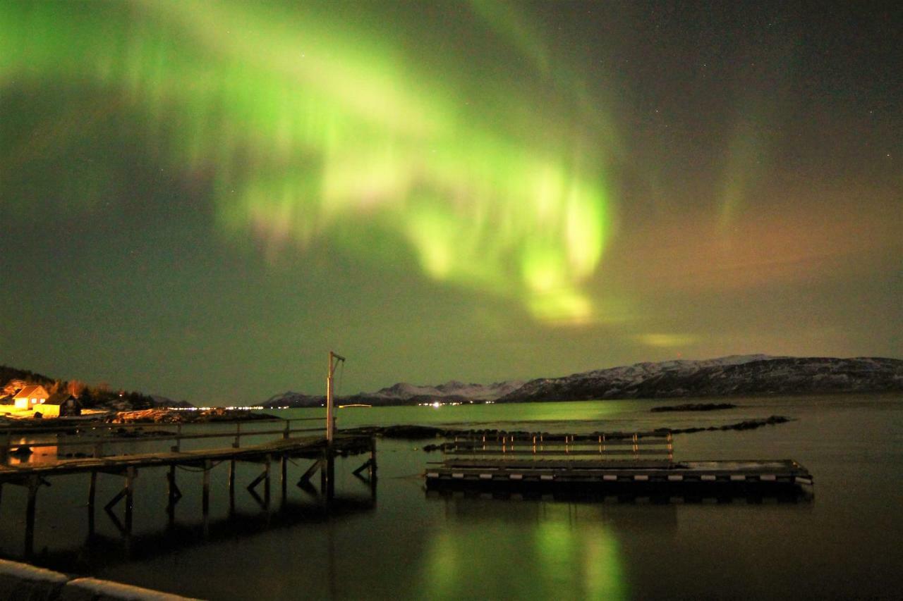 Laukvik Senja Hotel Botnhamn ภายนอก รูปภาพ